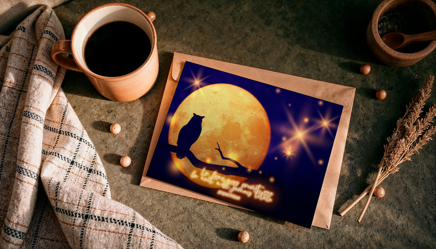 Pack 12 Cartes postales des Cycles Lunaires