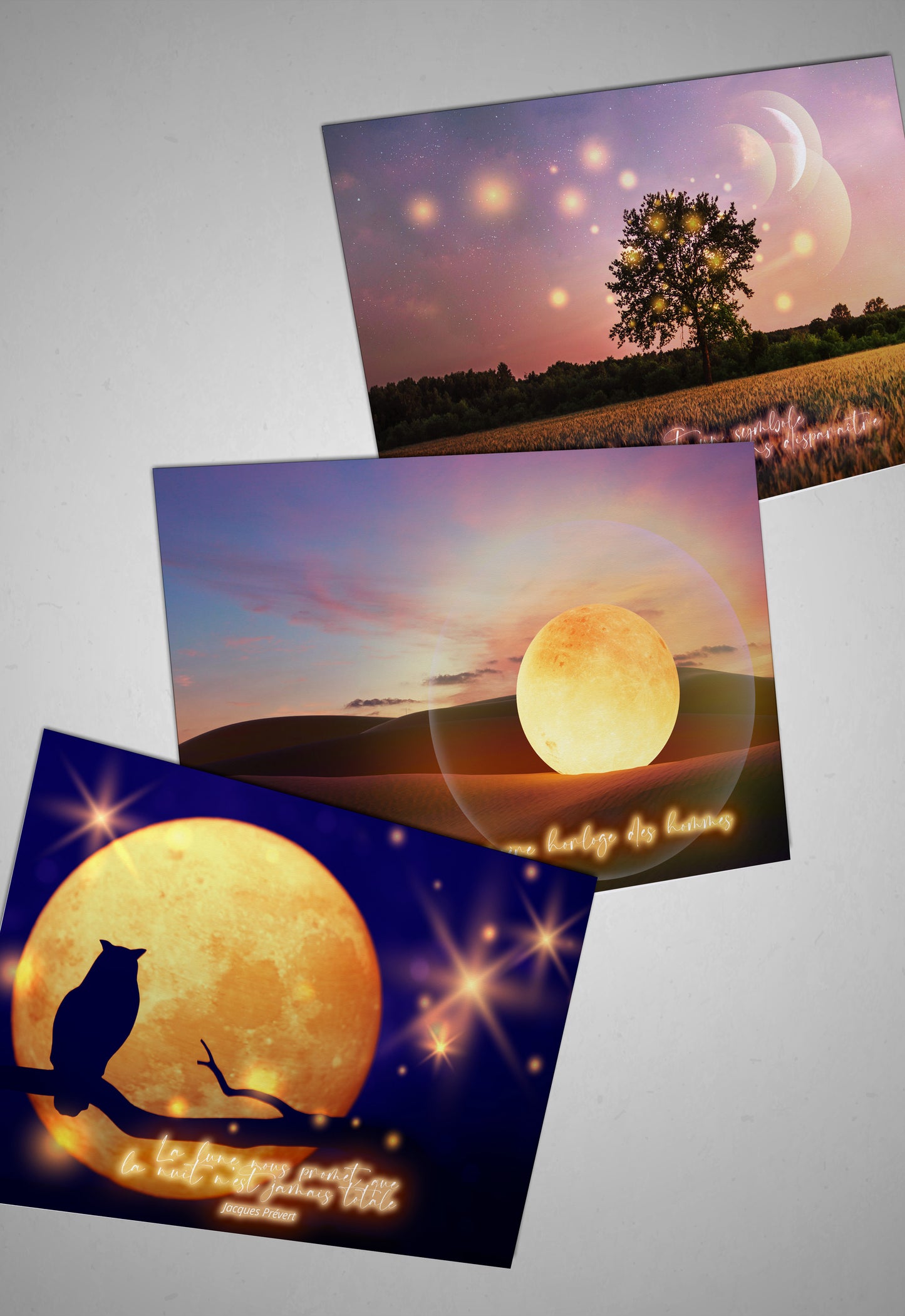 Pack 12 Cartes postales des Cycles Lunaires